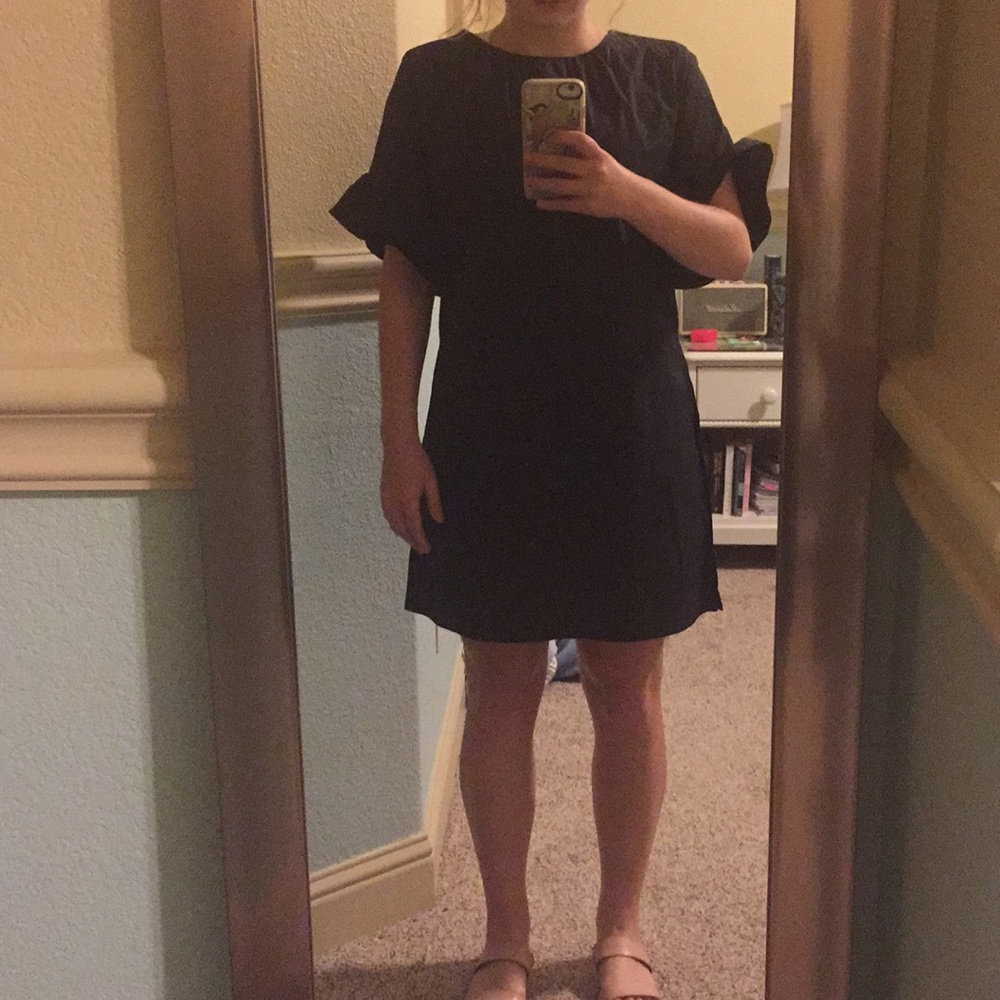 Zara Ruffled Sleeved Dress